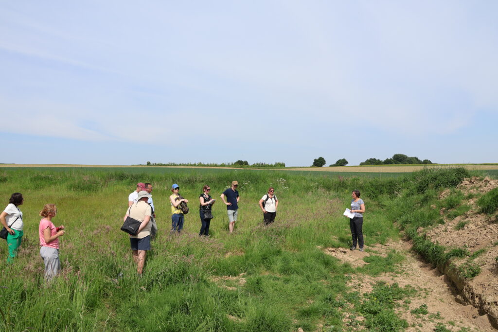 Visite du site Louvain (BL)